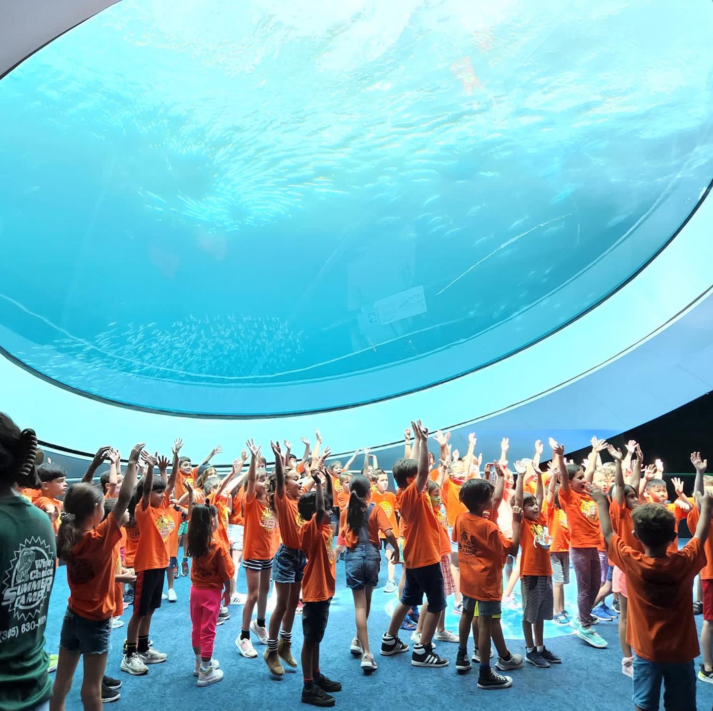 Wise Choice Summer Camp in Miami Field Trips