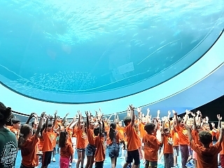 Planetarium-Experience