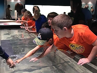 Touching-Animals-Museum