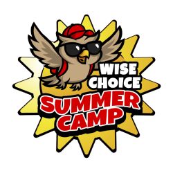 Summer Camp Photos | Wise Choice Summer Camp Gallery